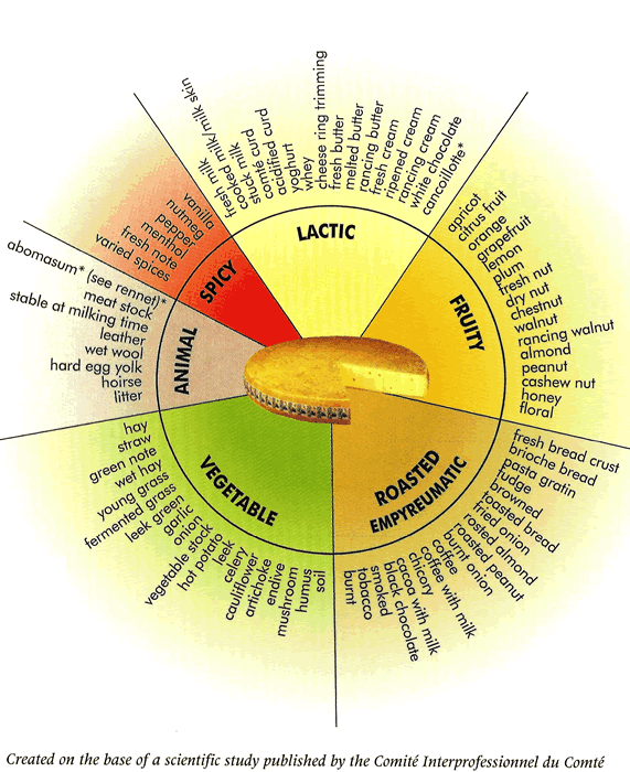 Cheese Taste Wheel 2