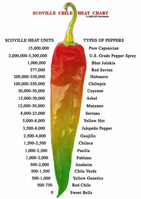 Chili Pepper Temperature Ratings