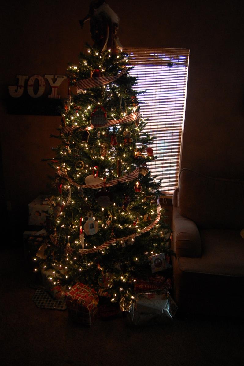 Christmas tree 2.JPG