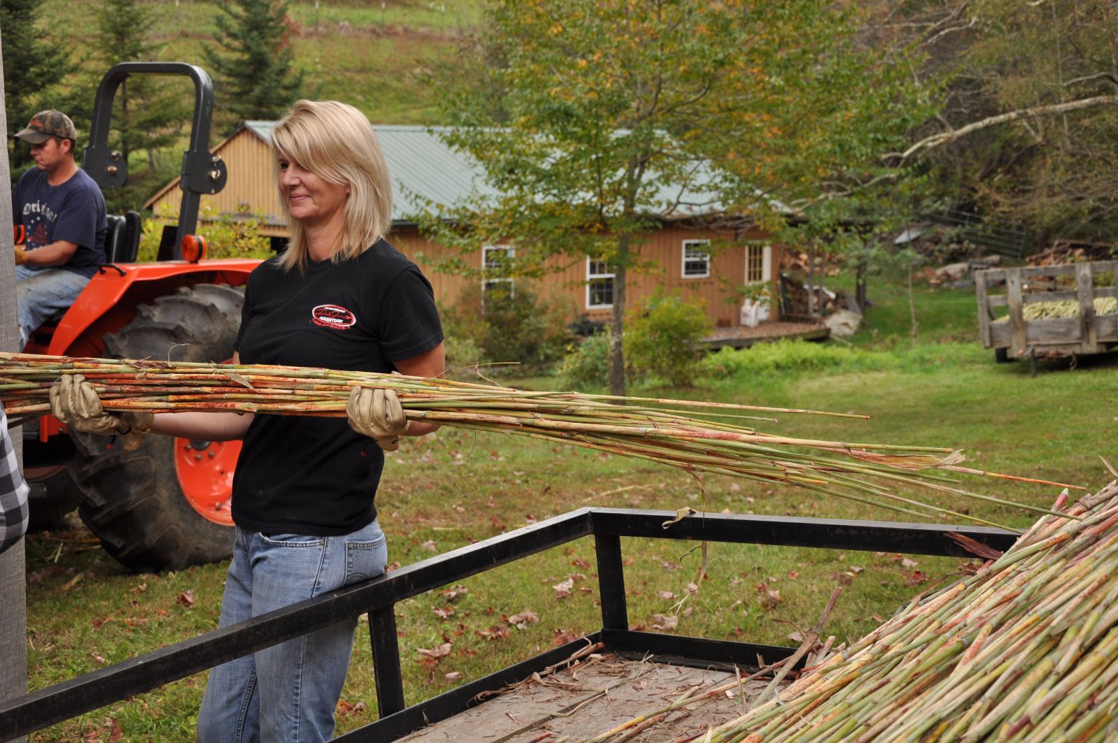 Dana feeding the mill