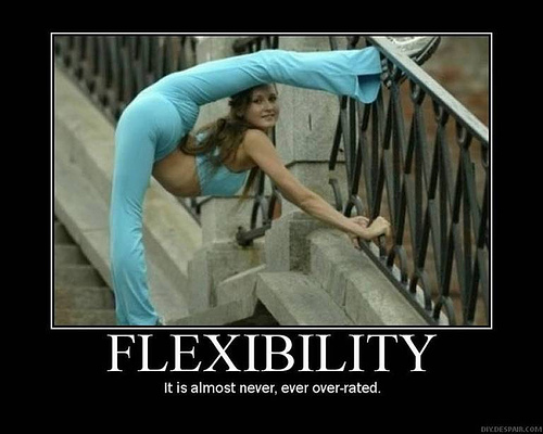 Flexibility