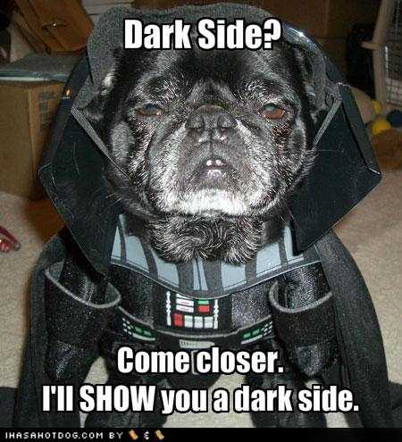 funny-dog-pictures-dark-side.jpg