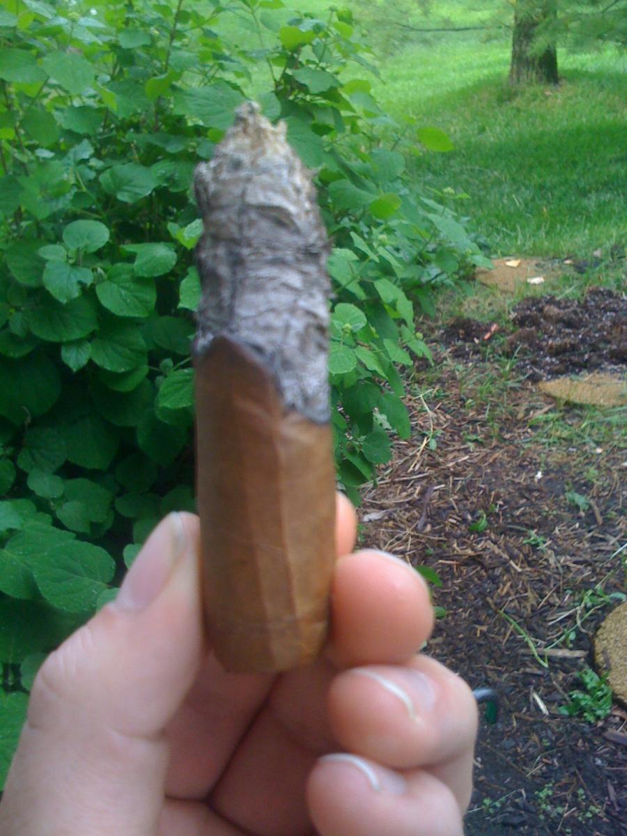 IMG_0320.JPG