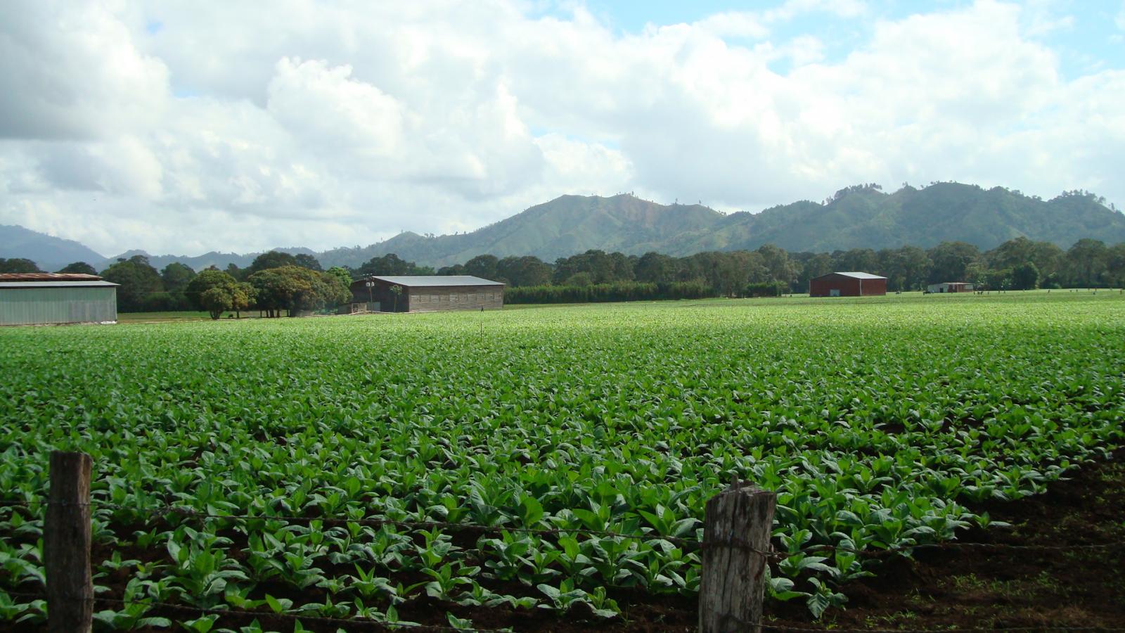 Jalapa Valley