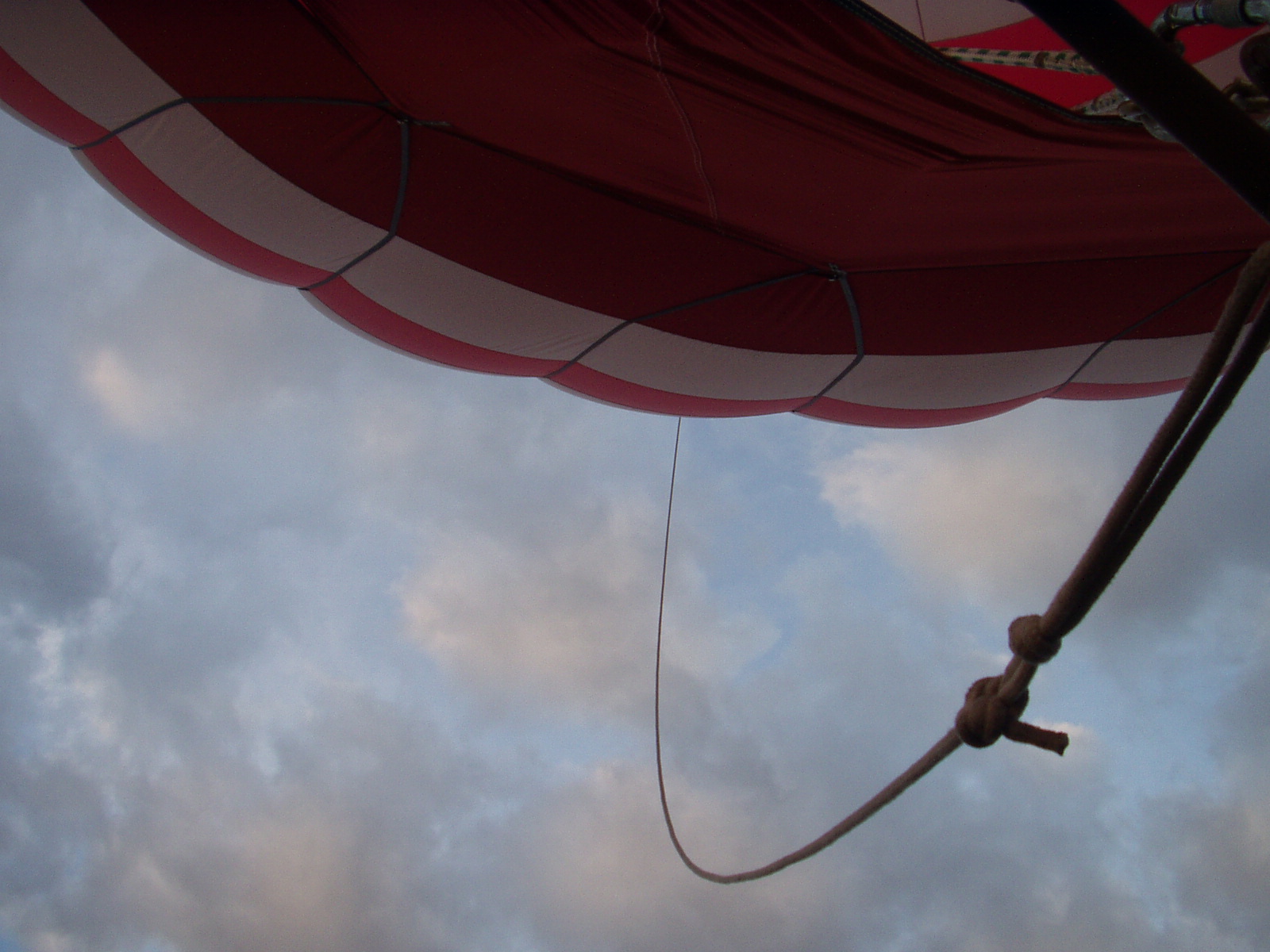 Just a shot looking up