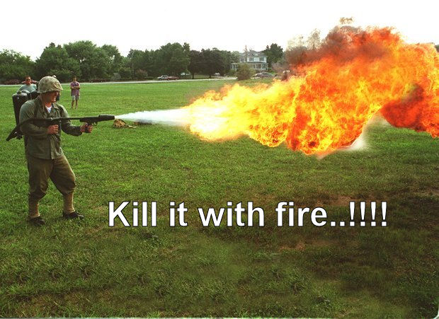 Kill_It_with_fire.jpg