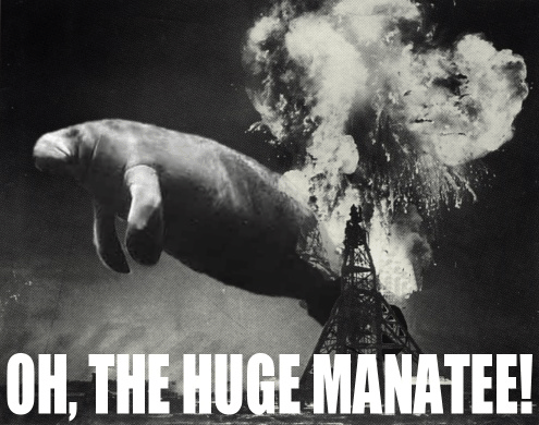 Manatee.gif