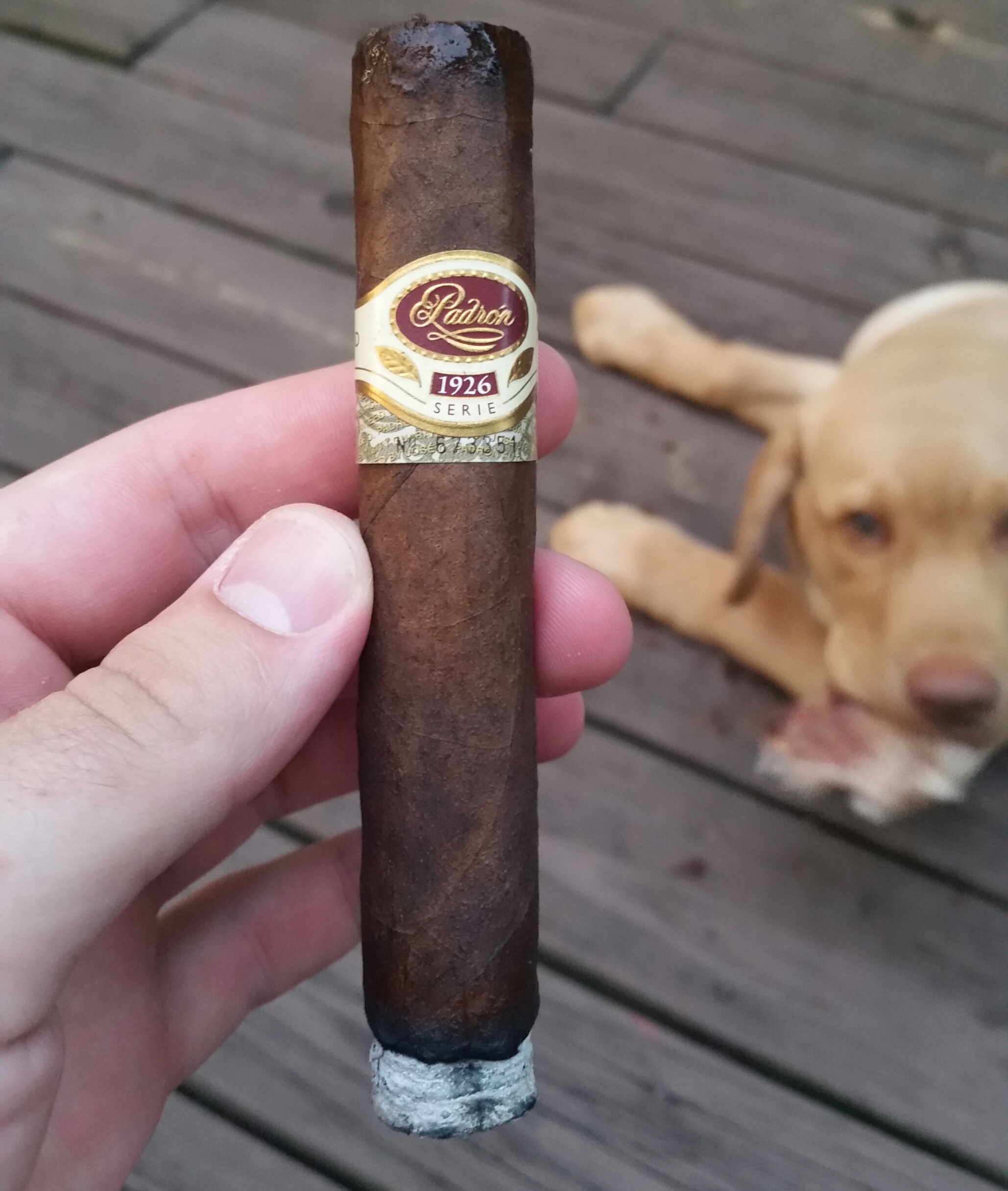 Padron26