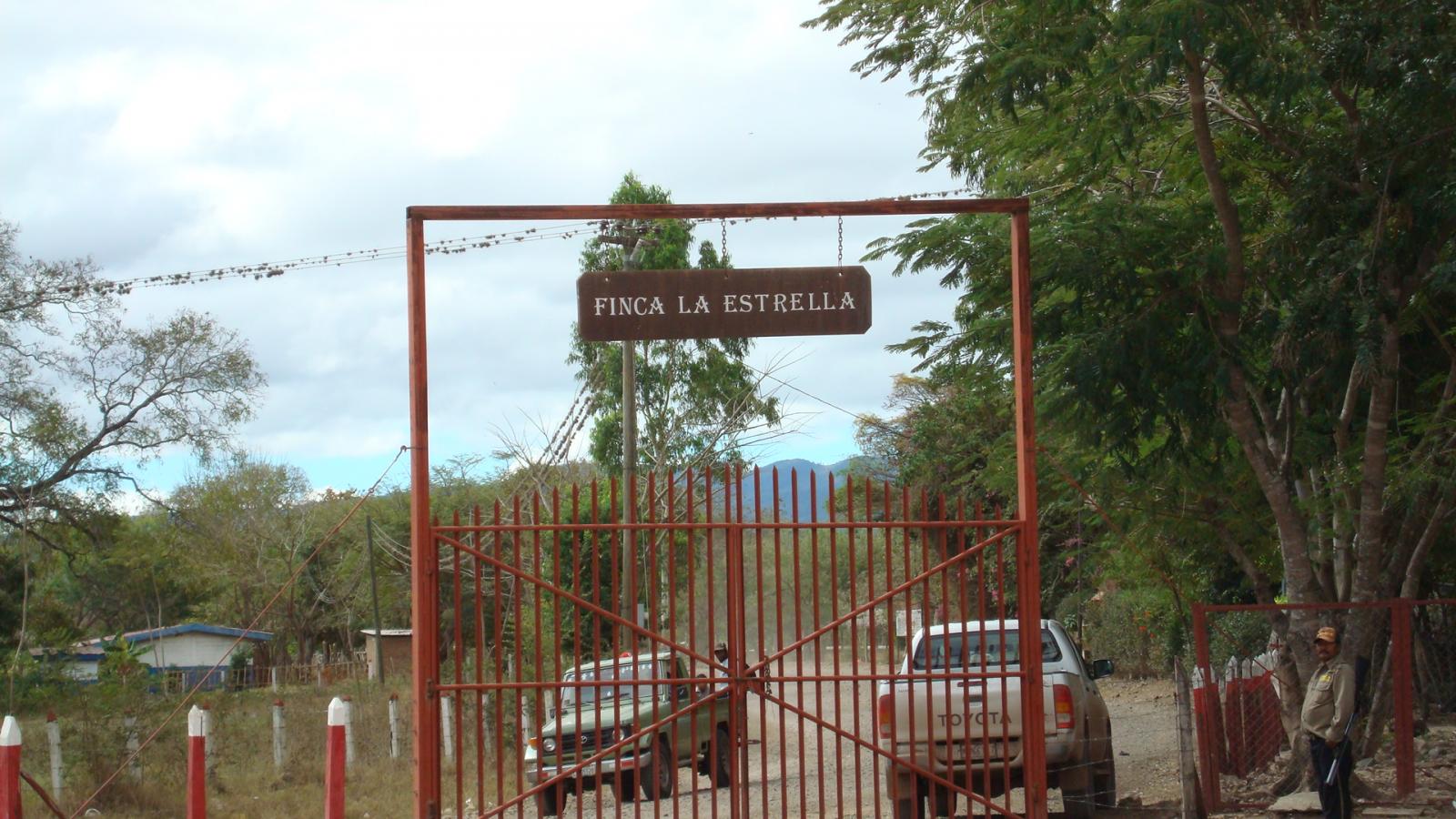 Pepin's new farm....Finca La Estrella