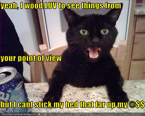 Point of View