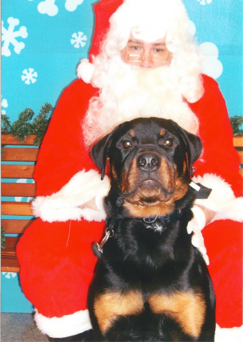 Remy with Santa
