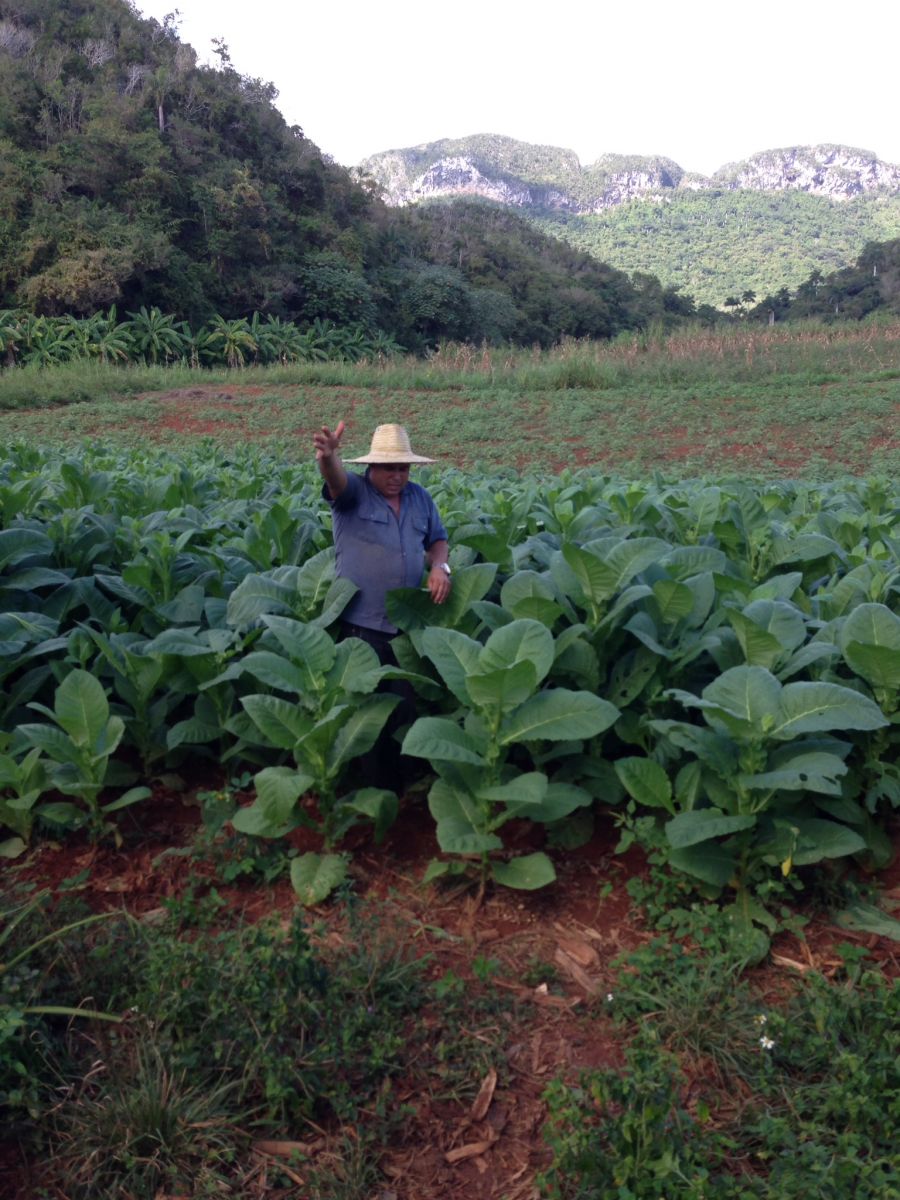 Santo Tomas, Vinales - World Heritage Site where tobacco is grown as in Semivuelta climates