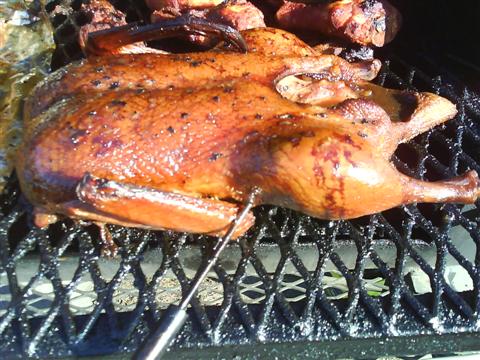 smoked duck