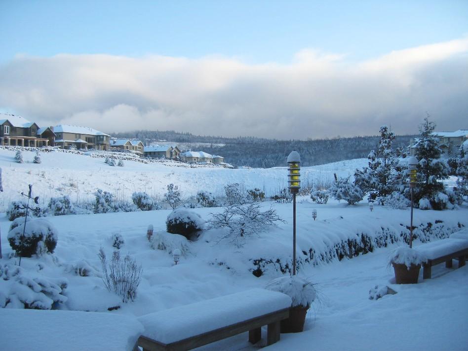 Snow Shuts Down Seattle