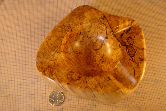 Spalted #1F