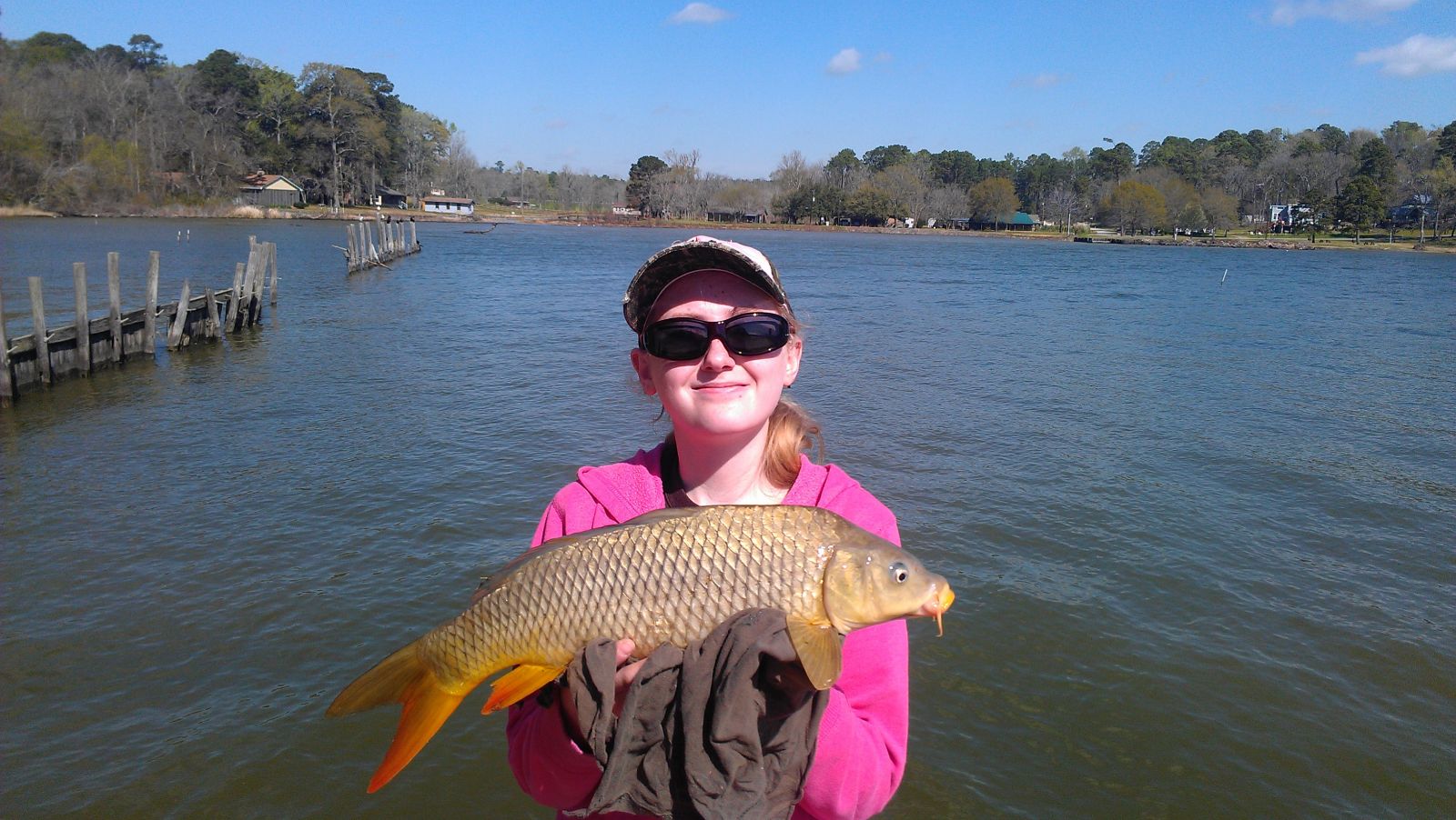 STEPHANIE'S 23" CARP