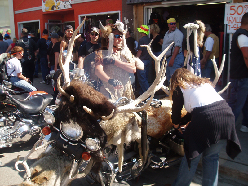 The Buffalo Bike