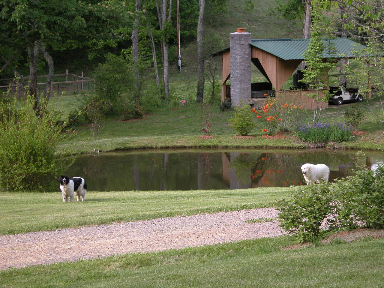 The cook shed