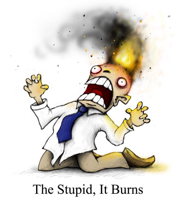 The stupid It burns