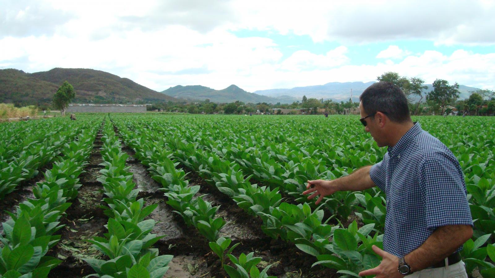 This is a much larger field, and Jorge explains the difference in the two irrigation systems.