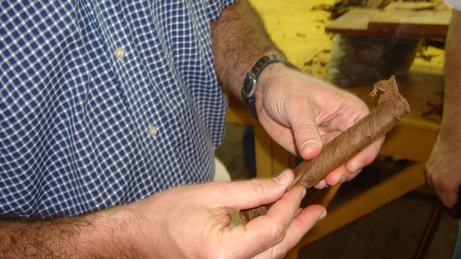 To illustrate the difference between cured tobacco and tobacco that isn't yet properly cured, Jorge wrapped a leaf of each on the cigar I was smoking.  I smoked them both and immediately noticed the differences.