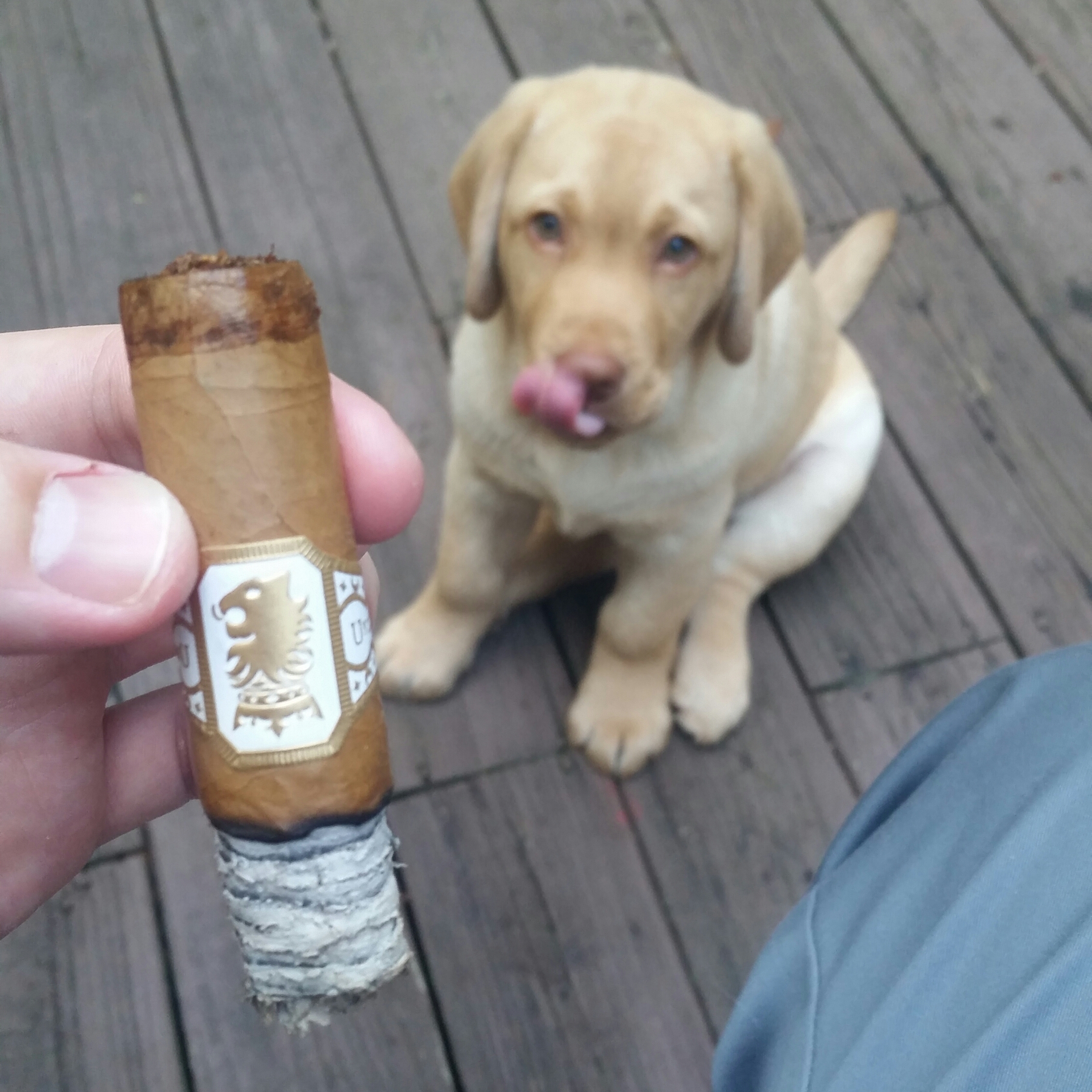 Undercrown Shade