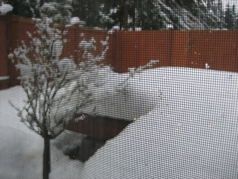 Picture036.jpg