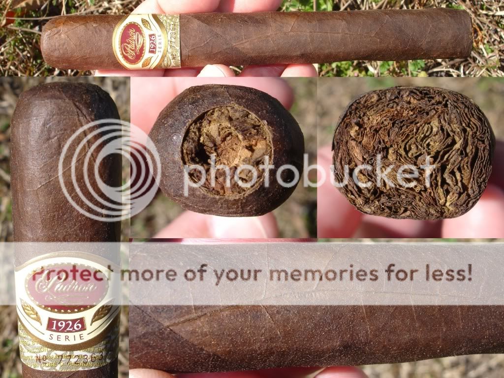 02-21-10Padron26No1001.jpg