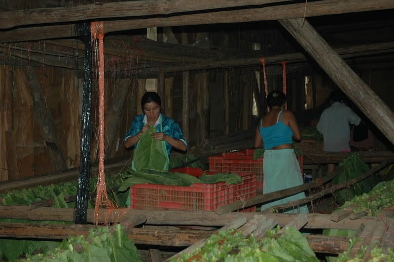 Img2005-9.jpg