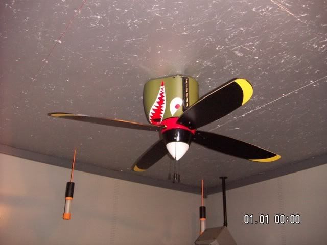 fan.jpg