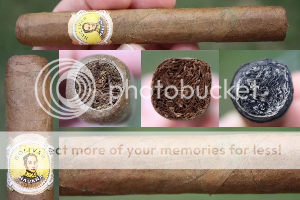 05-25-10BoliPC001.jpg