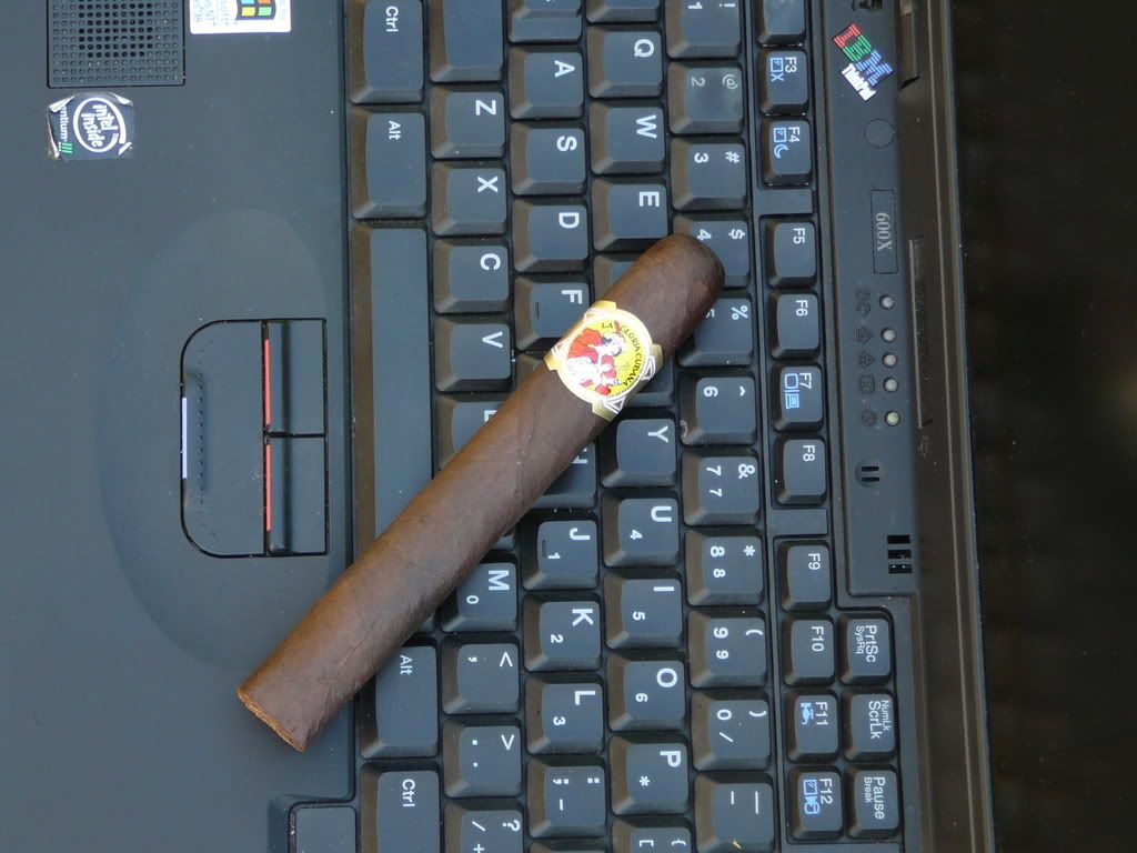 P1000696.jpg