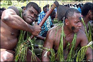 _39564977_fijichop200afp.jpg