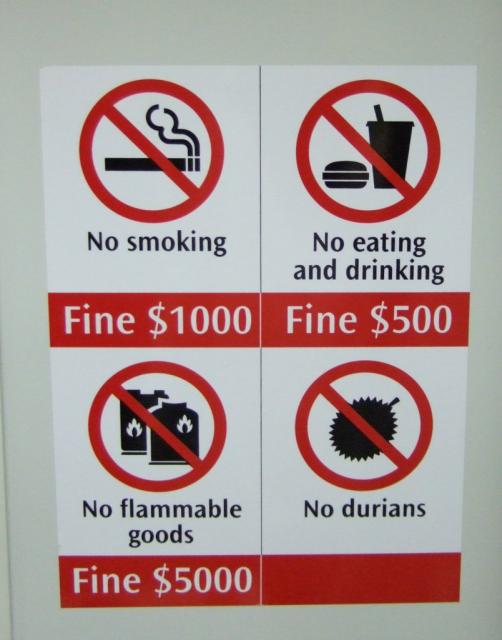 durian24.jpg