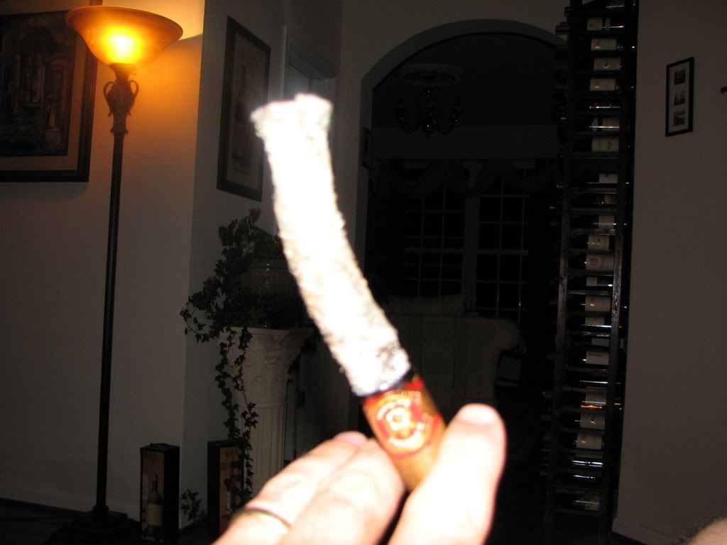 Ash002.jpg