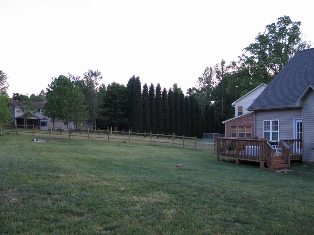 FencePictures031.jpg