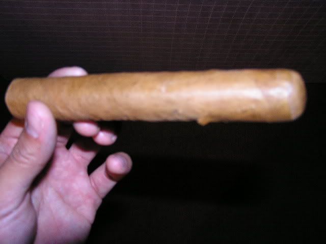 P6110046.jpg
