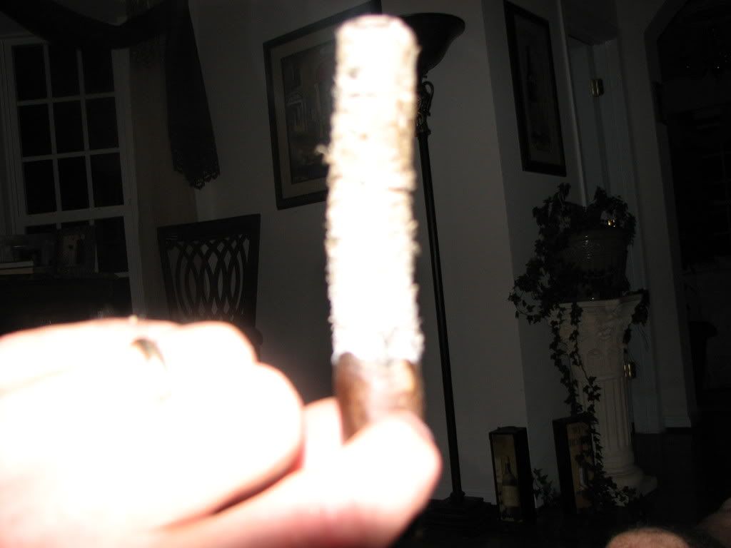 Ash004.jpg