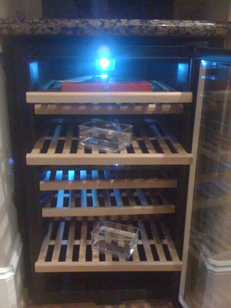 photo36.jpg