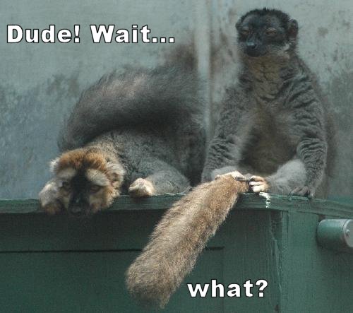 dude.jpg