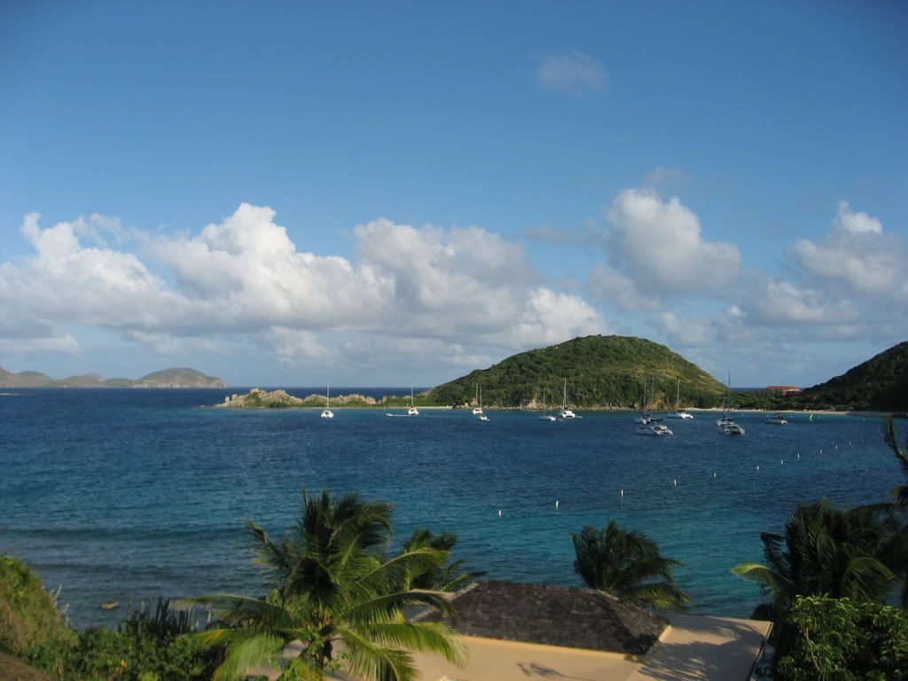 BVI2.jpg