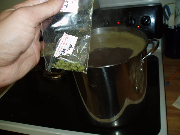 Hops.jpg
