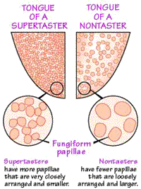 supertaster.gif