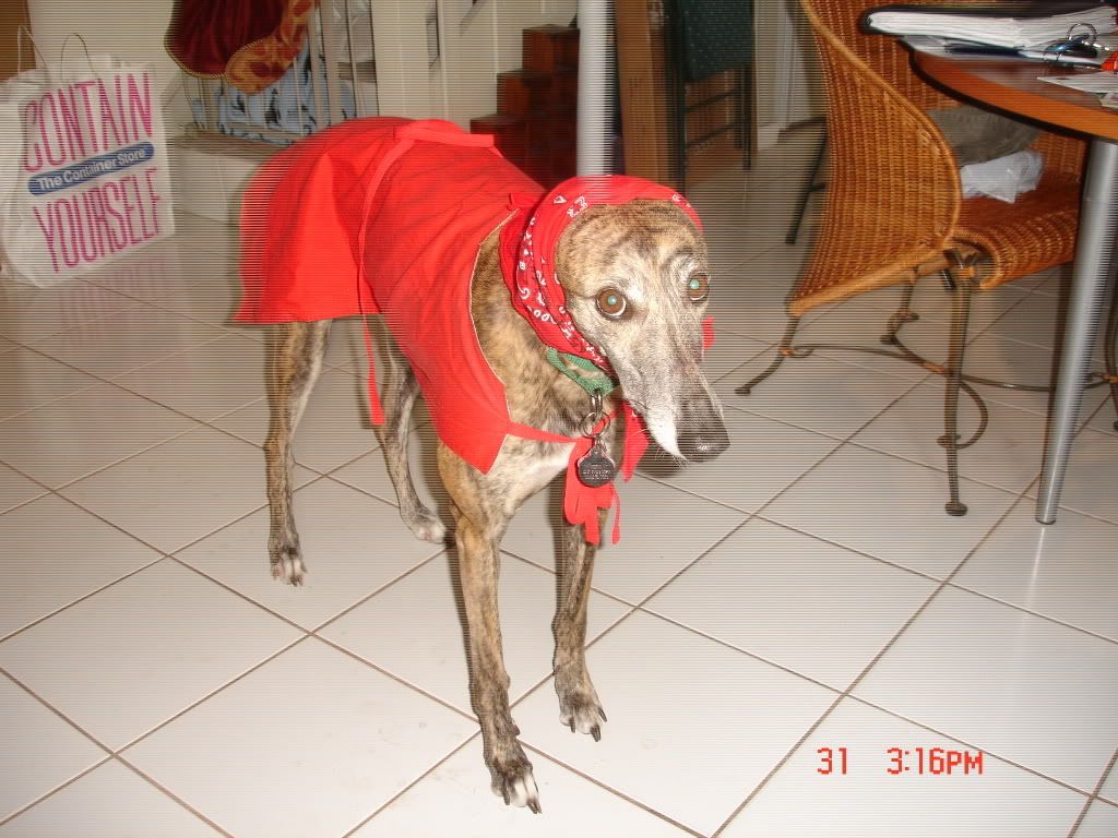 doggie124.jpg