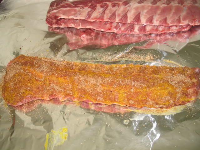 Ribs010.jpg