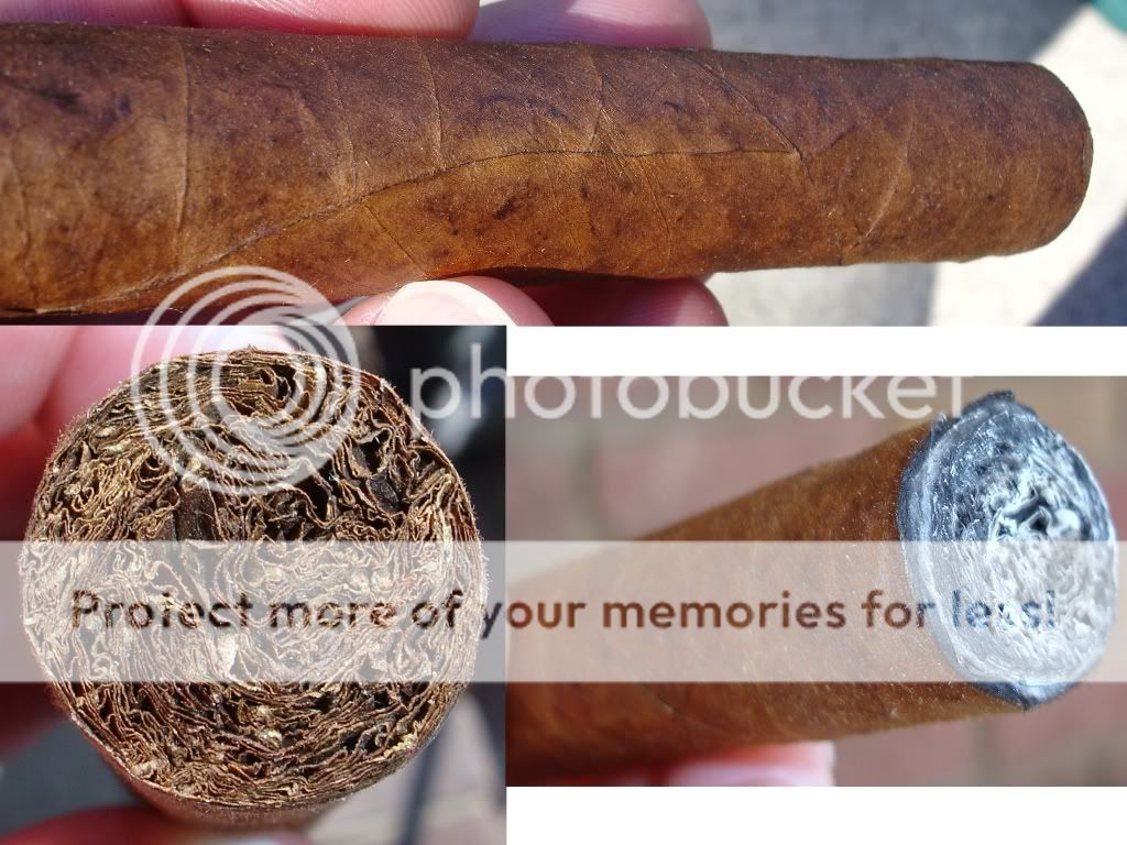 11-27-08RASS05002.jpg