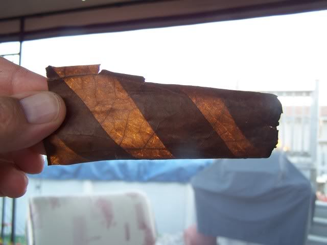 PluggedPadron006.jpg