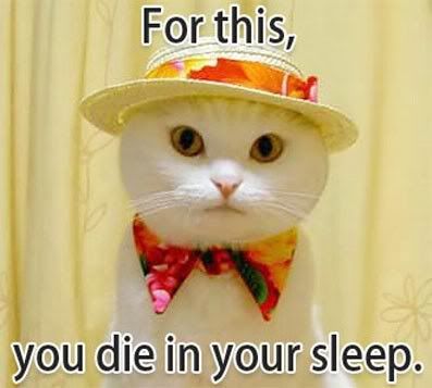 cats_09.jpg