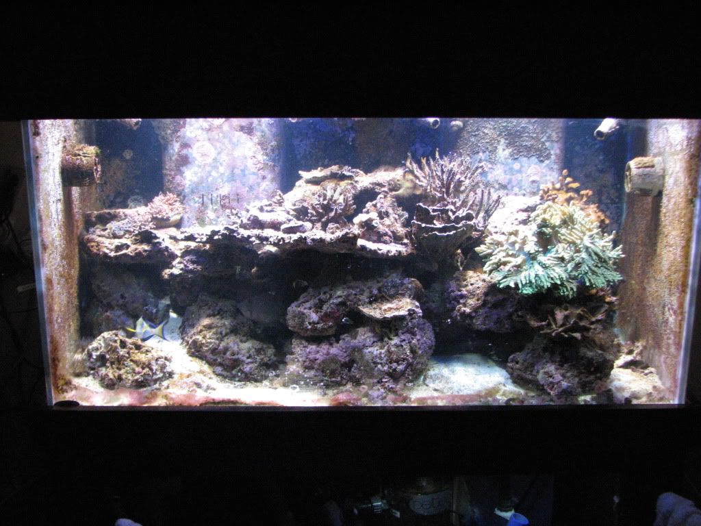 pics019.jpg