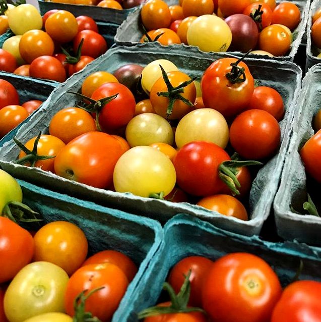 jonesfarminc.com